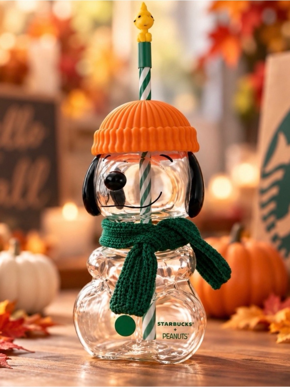 Starbucks x Peanuts Snoopy Glass Cold Cup 20oz
